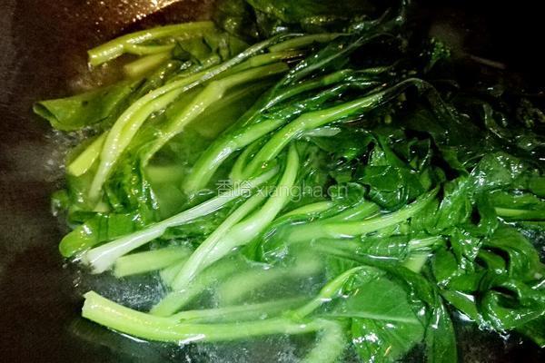 广东菜心的做法图解4