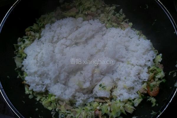 虾仁猪肉蔬菜炒饭的做法图解14