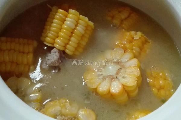 胡萝卜玉米排骨砂锅的做法图解14