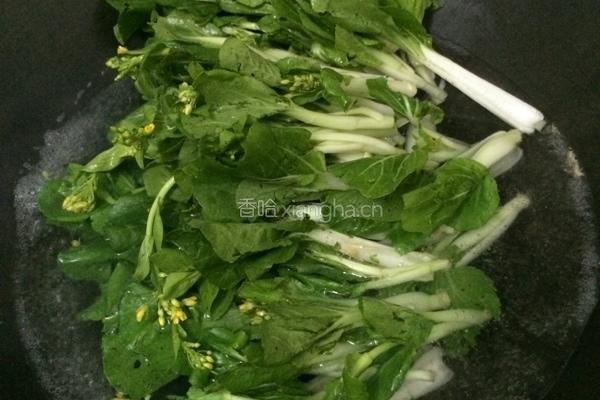 蒜蓉小白菜的做法图解3