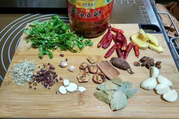 酱烧羊肉的做法图解1