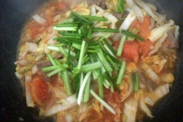 炝炒白菜的做法图解5