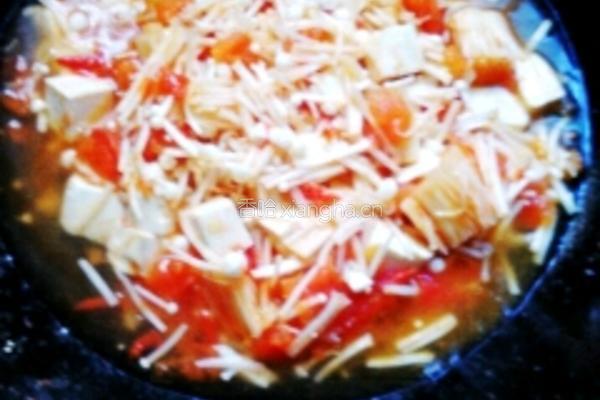 西红柿金针菇烧豆腐的做法图解6