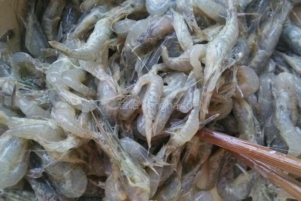 炸湖虾的做法图解7