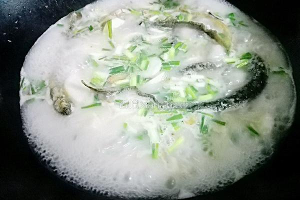 泥鳅淮山汤的做法图解9