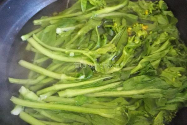 清灼油菜苔的做法图解2