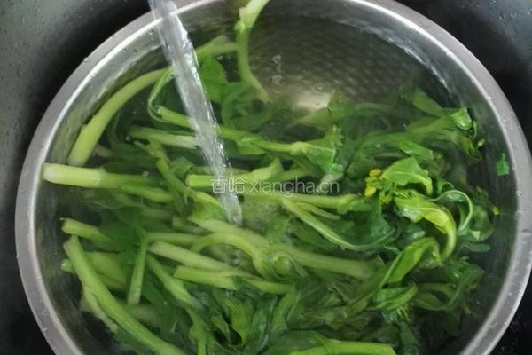清灼油菜苔的做法图解3