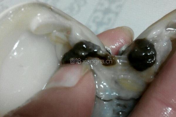 文蛤苦瓜汤的做法图解4