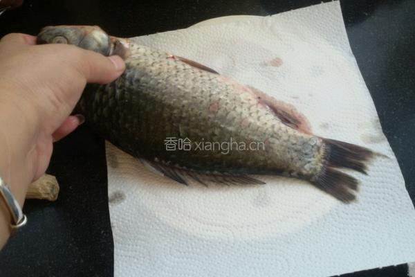 木瓜鲫鱼汤的做法图解2