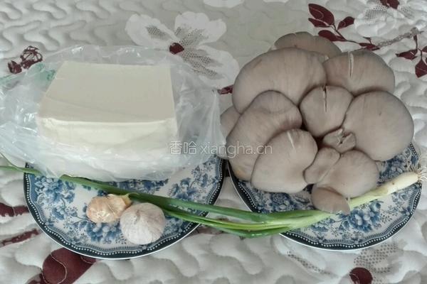 平菇烩豆腐的做法图解1