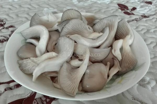 平菇烩豆腐的做法图解4