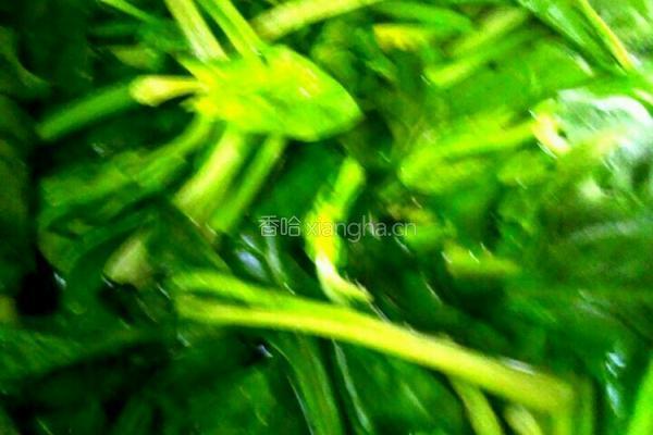 凉拌菠菜的做法图解1