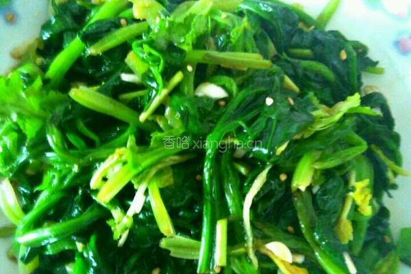 凉拌菠菜的做法图解3
