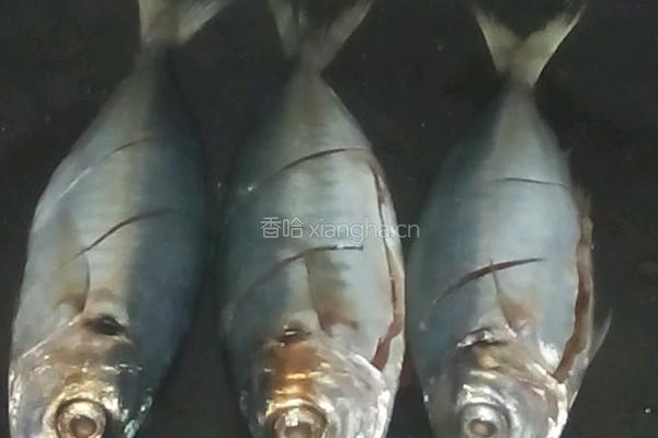 酸甜鱼儿的做法图解2