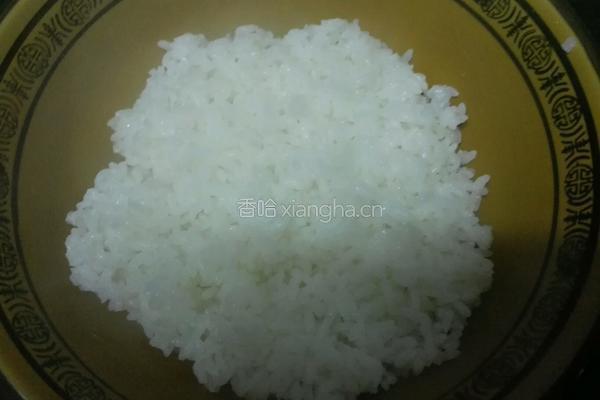 洋葱酥卤肉饭的做法图解31