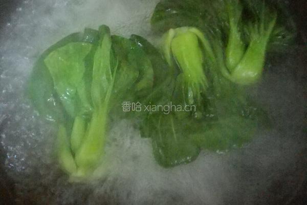 洋葱酥卤肉饭的做法图解32
