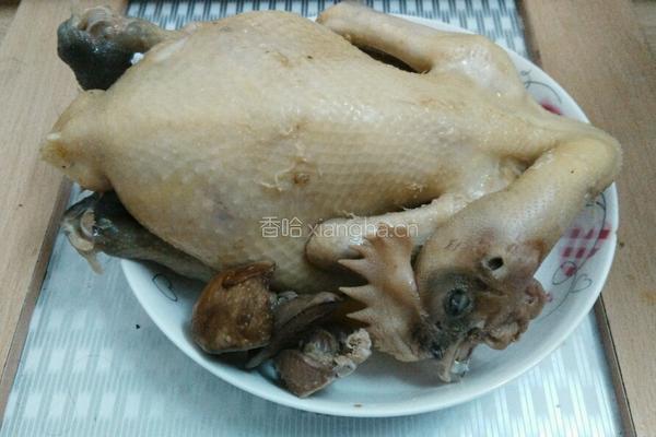 白切鸡的做法图解3