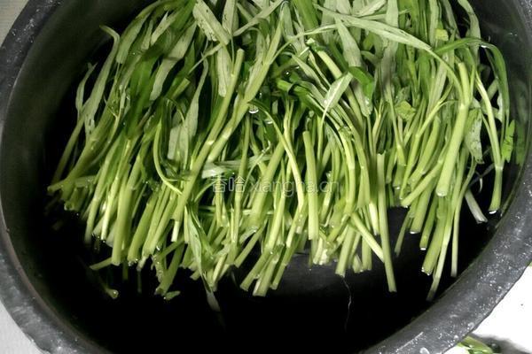 蒜蓉爆炒通心菜的做法图解2