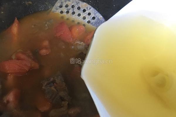 西红柿炖牛腩的做法图解17