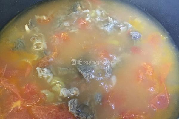 西红柿炖牛腩的做法图解18