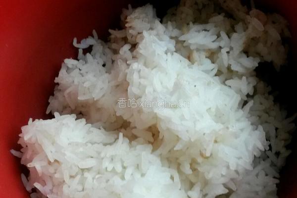 青菜蛋炒饭的做法图解4