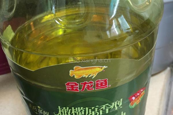 清汤羊肉的做法图解7