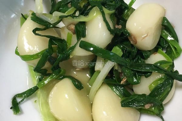 清汤羊肉的做法图解11