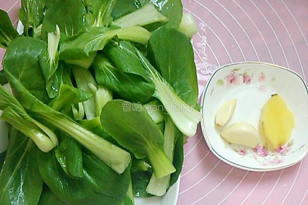 清炒勺菜的做法图解1
