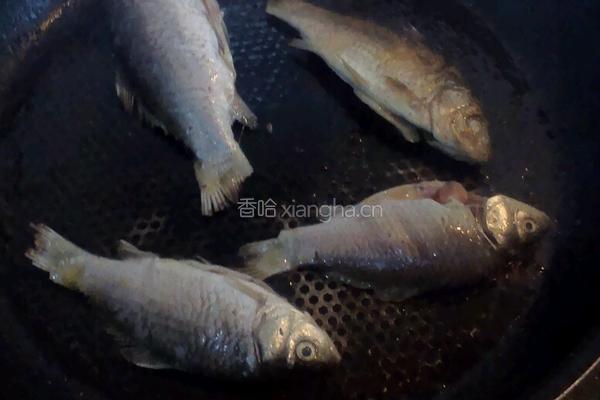 焖酥鱼的做法图解2