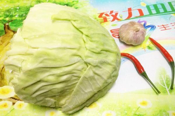 清炒包菜的做法图解1