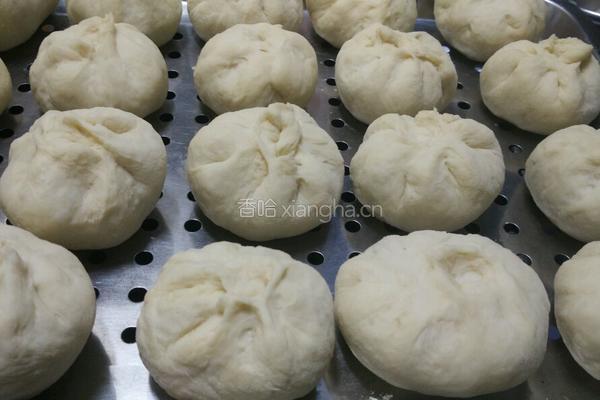 肉包子的做法图解7