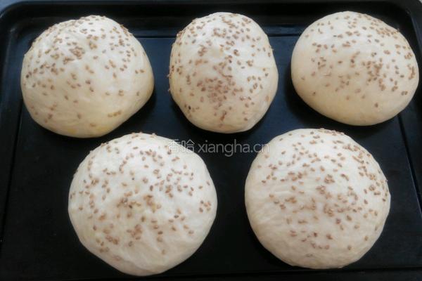 自制汉堡胚的做法图解8