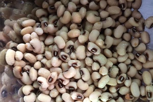 胡萝卜眉豆鸡爪汤的做法图解4