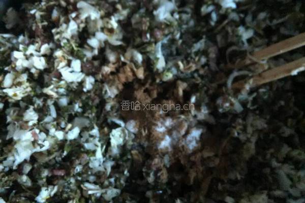 荠菜包子的做法图解7
