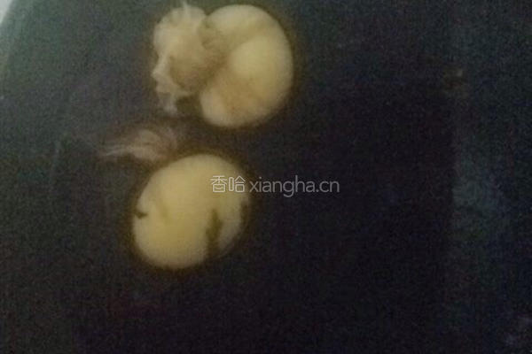花样卤蛋的做法图解5