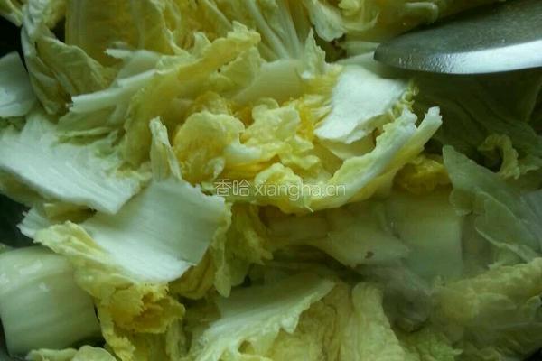 清炒大白菜的做法图解4