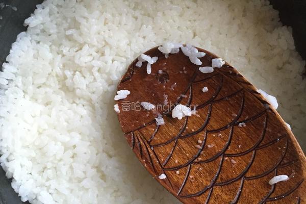 石锅拌饭的做法图解9