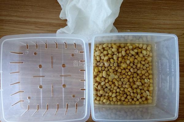 自制豆付脑的做法图解1