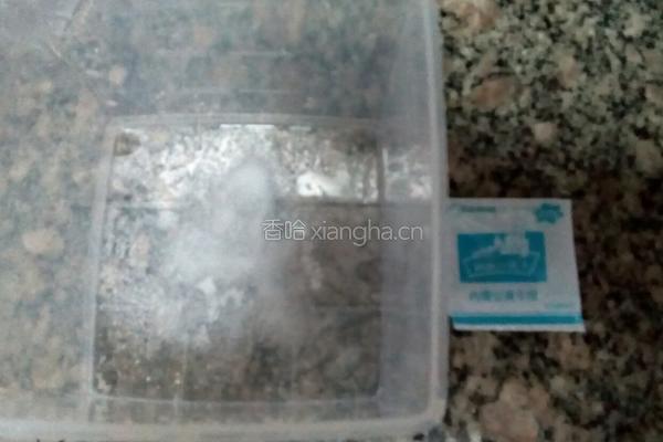 自制豆付脑的做法图解5