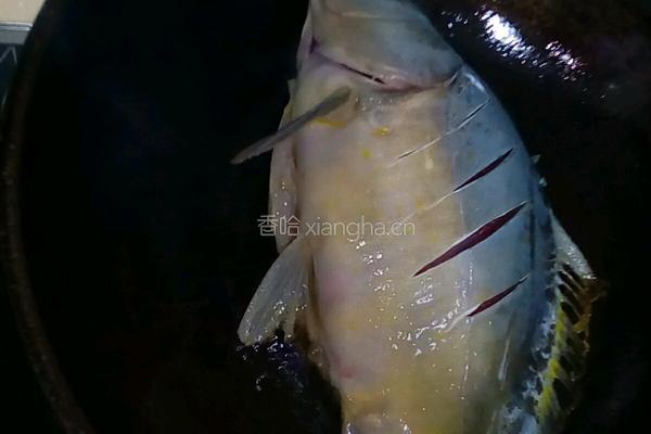 红烧鲤鱼的做法图解2
