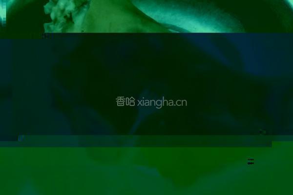红运当头的做法图解3