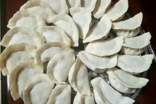白菜猪肉饺子的做法图解6