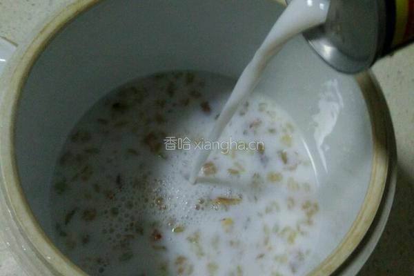 雪蛤膏炖椰奶的做法图解3
