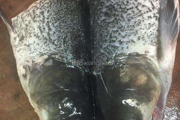 鱼头豆腐煲的做法图解3