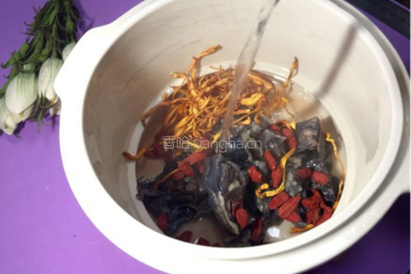 虫草花枸杞炖乌鸡汤的做法图解3