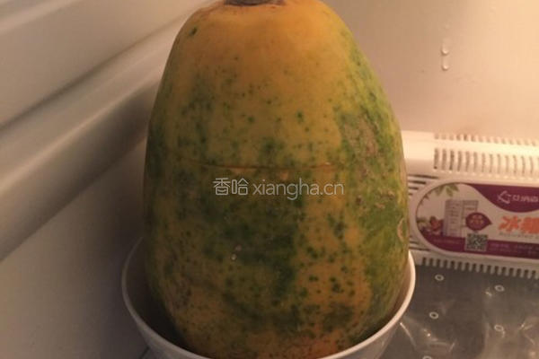 木瓜鲜奶冻的做法图解8