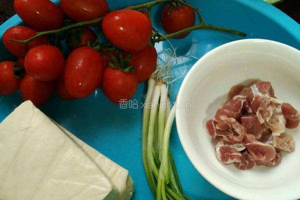 番茄豆腐炒瘦肉的做法图解1