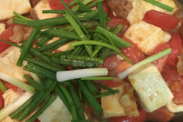 番茄豆腐炒瘦肉的做法图解8