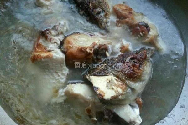 鱼头汤的做法图解4