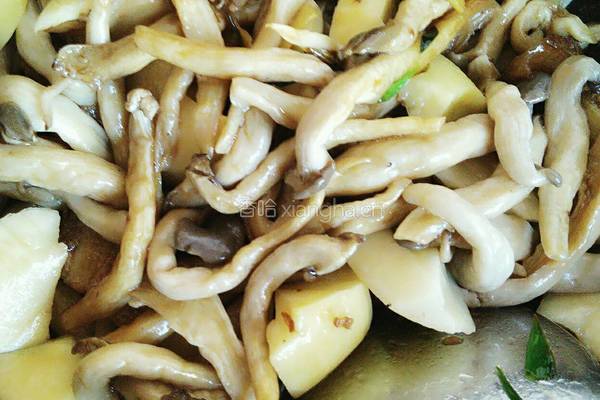 土豆炖蘑菇的做法图解7